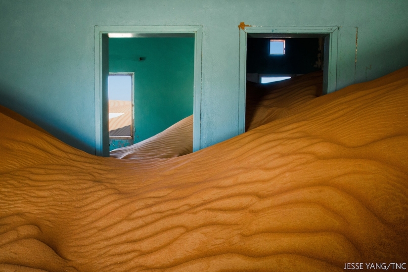 14 impresionantes imágenes de los ganadores del concurso Nature Conservancy 2018