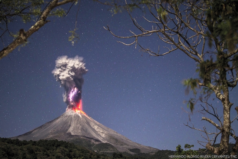 14 impressive pictures of the winners of the Nature Conservancy 2018 contest