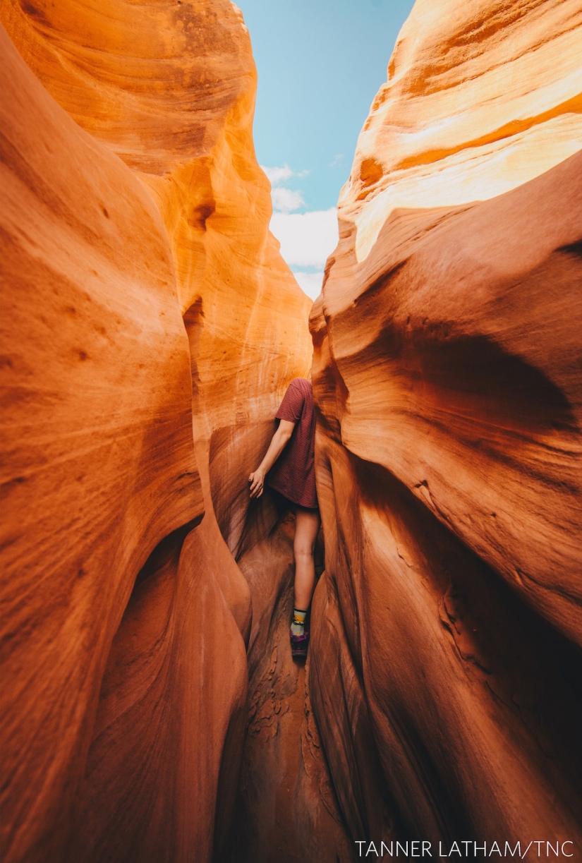 14 impressive pictures of the winners of the Nature Conservancy 2018 contest