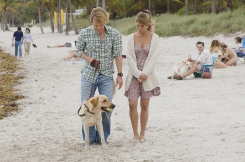 14 powerful movies that will make you cry