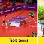 14 preguntas deportivas que siempre hemos querido hacer 14 preguntas deportivas que siempre hemos querido hacer