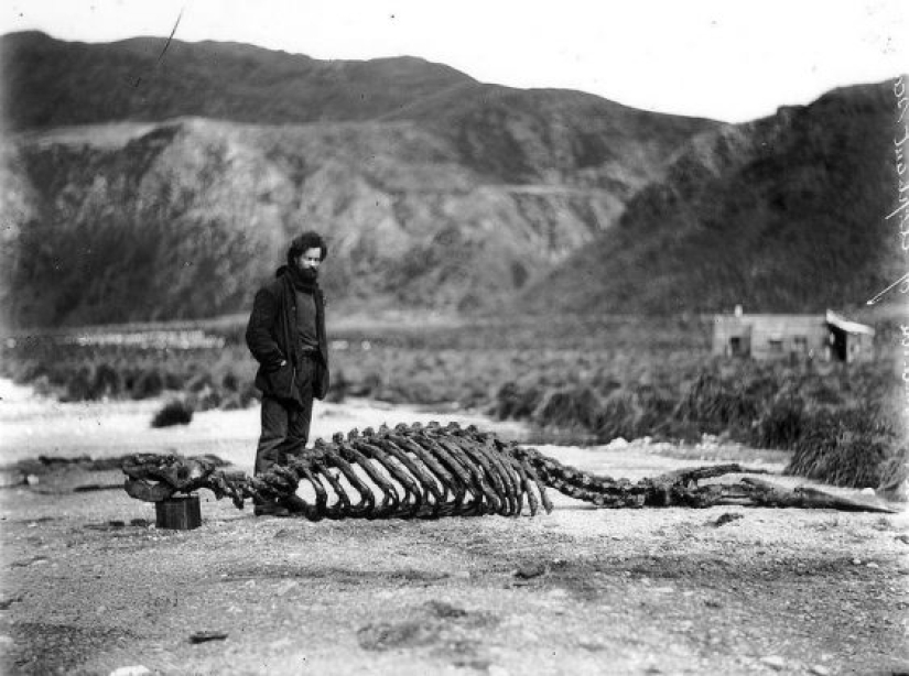 14 raras fotos históricas que pueden hacerte sentir el pasado 14 raras fotos históricas que pueden hacerte sentir el pasado