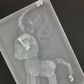 14 Things Nature Can't Show, But An X-Ray Can Show 14 Things Nature Can't Show, But An X-Ray Can Show