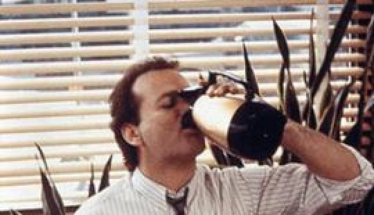 14 Things You Didn't Know About Groundhog Day