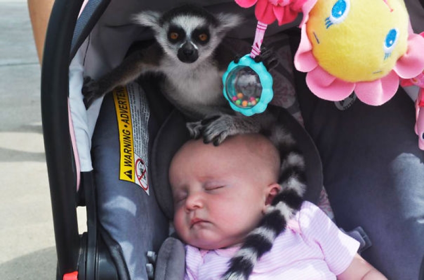 15 answers to the question why a small child is funny