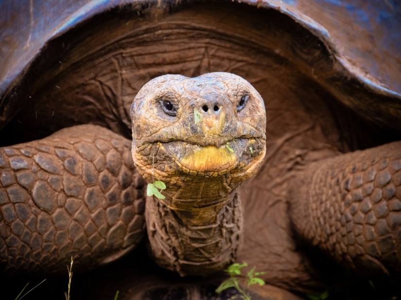 15 best places to see wild animals