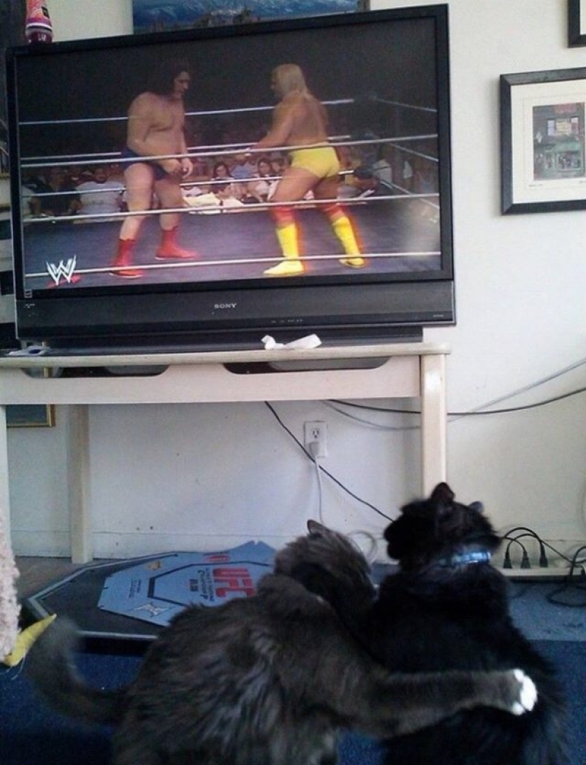 15 coincidencias que refutan la teoría de la probabilidad 15 coincidencias que refutan la teoría de la probabilidad