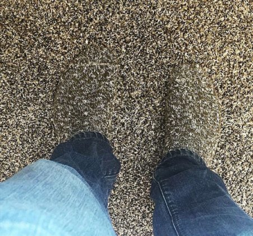 15 coincidencias que refutan la teoría de la probabilidad 15 coincidencias que refutan la teoría de la probabilidad