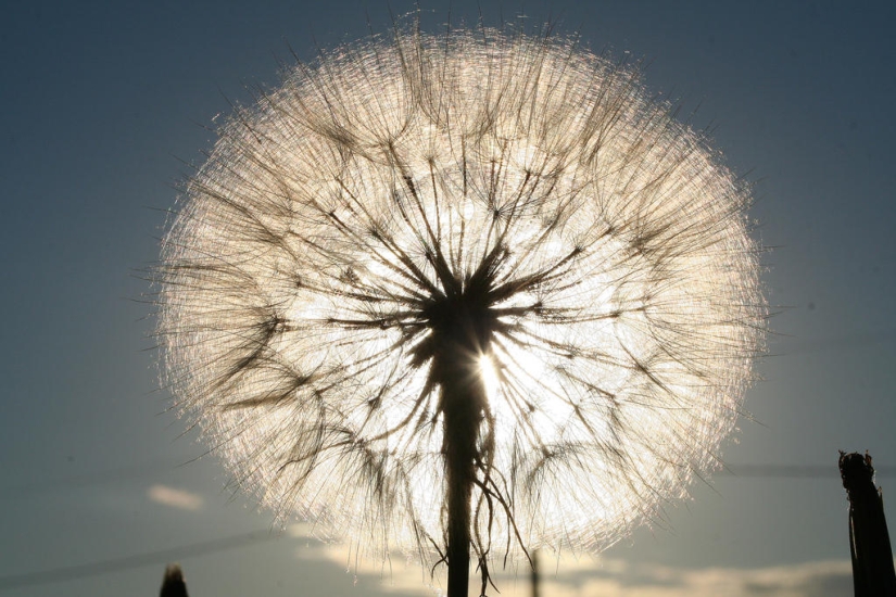 15 datos sobre los eclipses solares