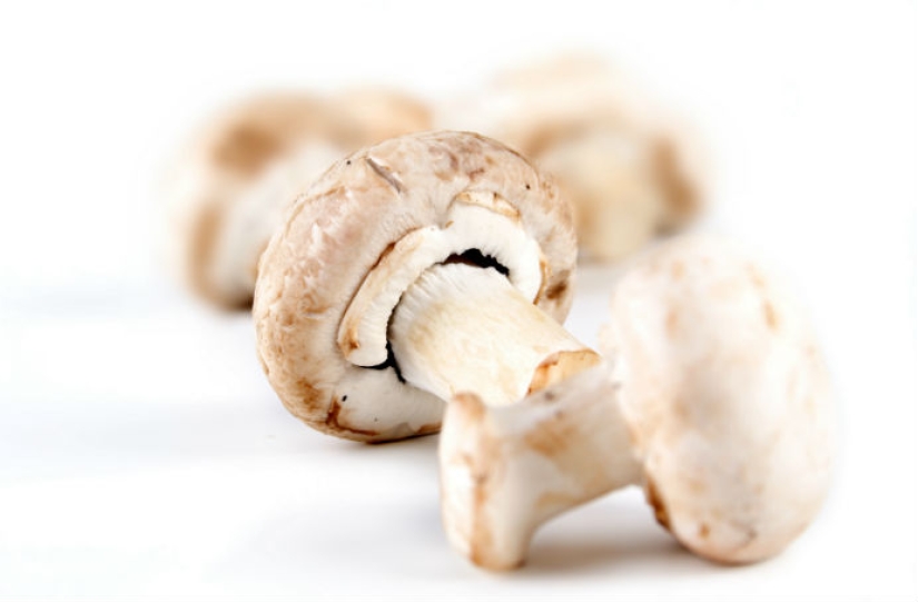 15 foods that you can eat even at night 15 foods that you can eat even at night