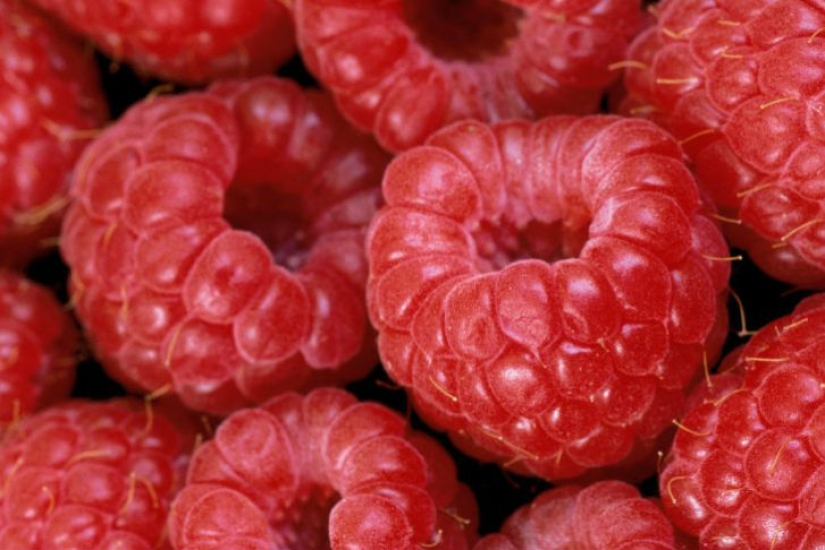 15 foods that you can eat even at night 15 foods that you can eat even at night