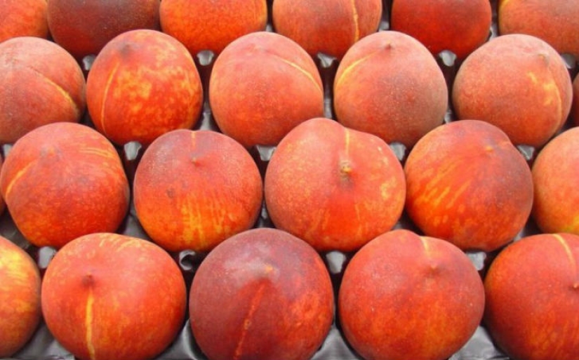15 foods that you can eat even at night 15 foods that you can eat even at night