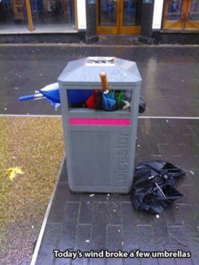 15 fotos que prueban que el viento tiene sentido del humor