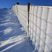 15 ocasiones en las que la gente estaba tan satisfecha mirando la nieve que simplemente tuvieron que documentarla