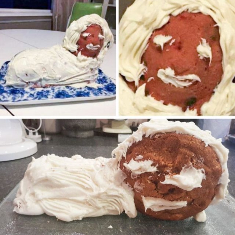 15 People Whose Bad Baking Made The World Laugh 15 People Whose Bad Baking Made The World Laugh