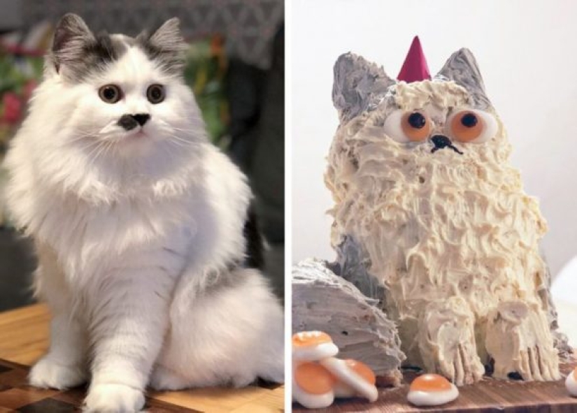 15 People Whose Bad Baking Made The World Laugh 15 People Whose Bad Baking Made The World Laugh