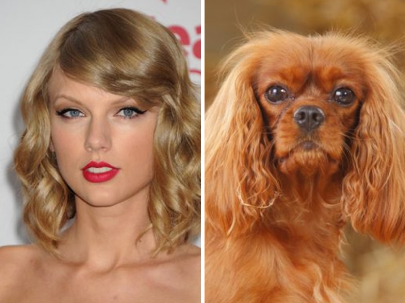 15 Photos of Animals That Strikingly Look Like Stars 15 Photos of Animals That Strikingly Look Like Stars