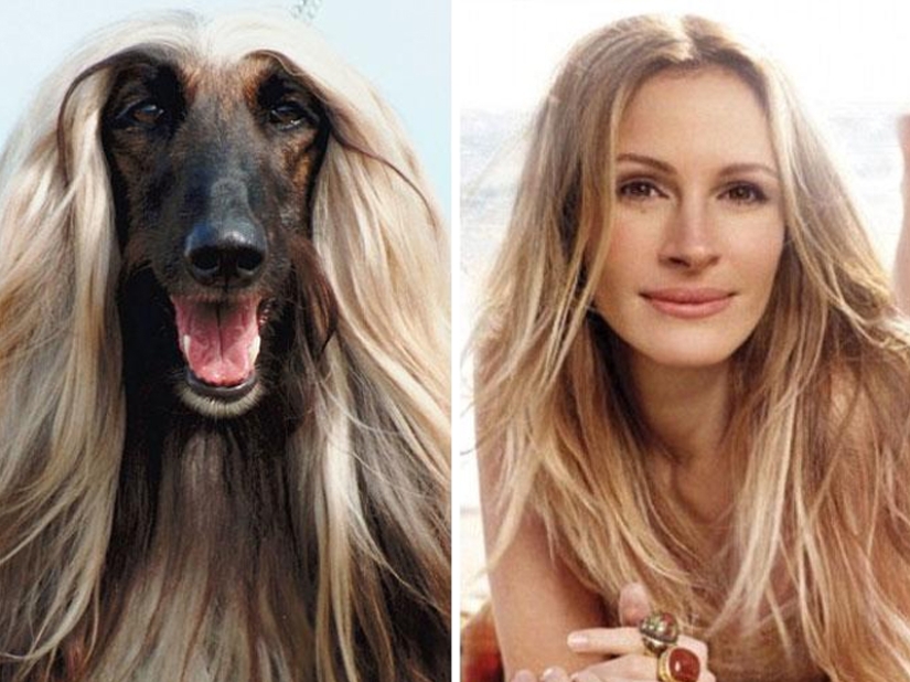 15 Photos of Animals That Strikingly Look Like Stars 15 Photos of Animals That Strikingly Look Like Stars