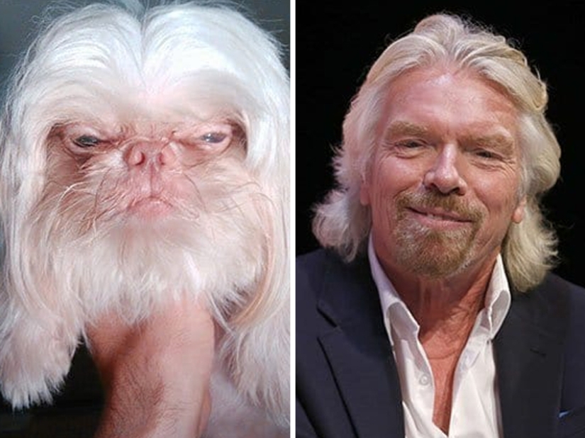 15 Photos of Animals That Strikingly Look Like Stars 15 Photos of Animals That Strikingly Look Like Stars