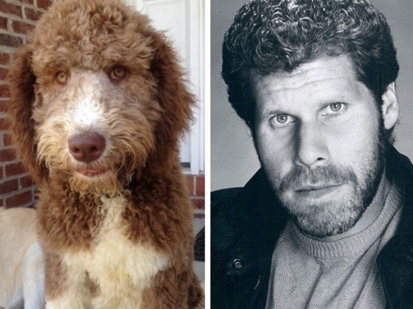 15 Photos of Animals That Strikingly Look Like Stars 15 Photos of Animals That Strikingly Look Like Stars