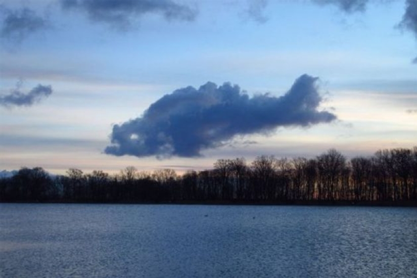 15 photos of coincidences that are hard to believe