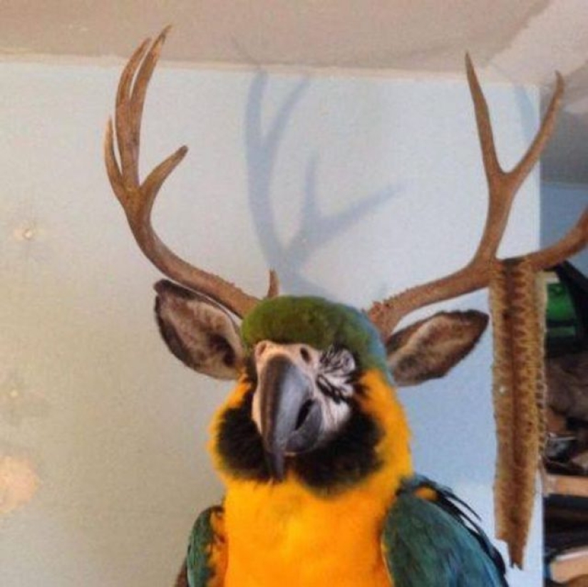 15 photos of coincidences that are hard to believe
