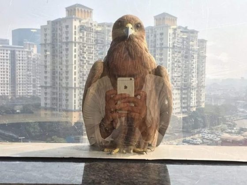 15 photos of coincidences that are hard to believe