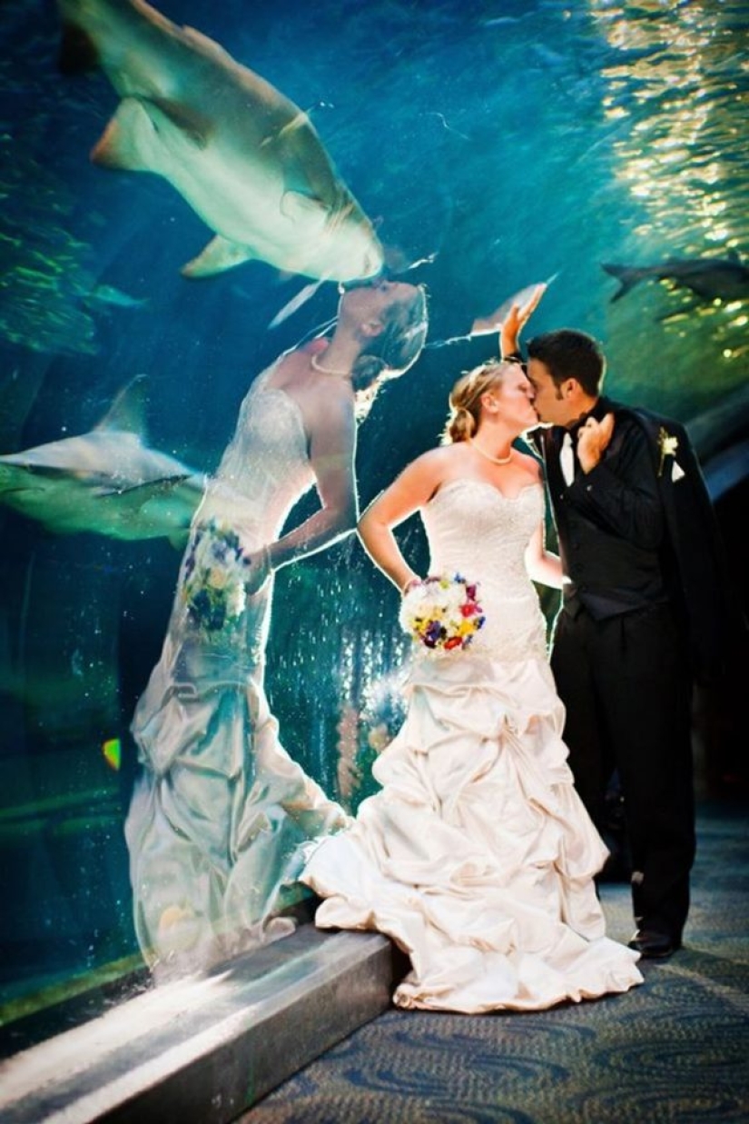 15 photos of coincidences that are hard to believe