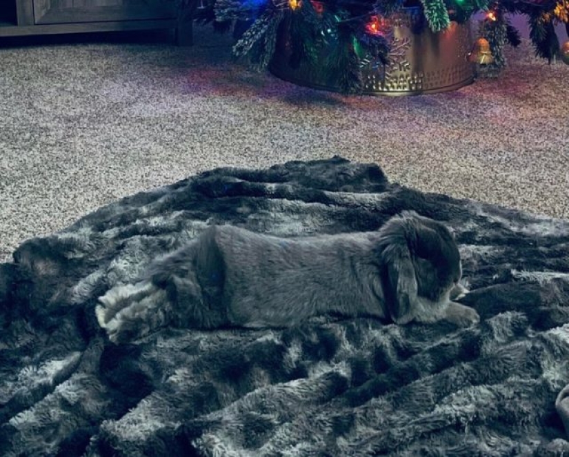 15 photos that can confuse even the most rational person