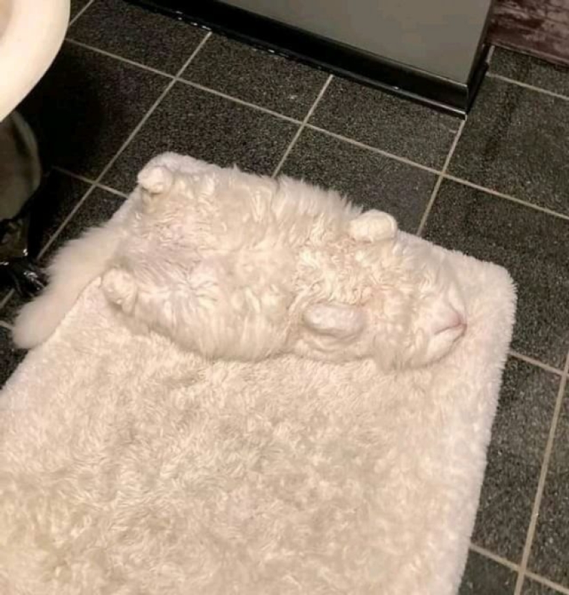 15 photos that can confuse even the most rational person