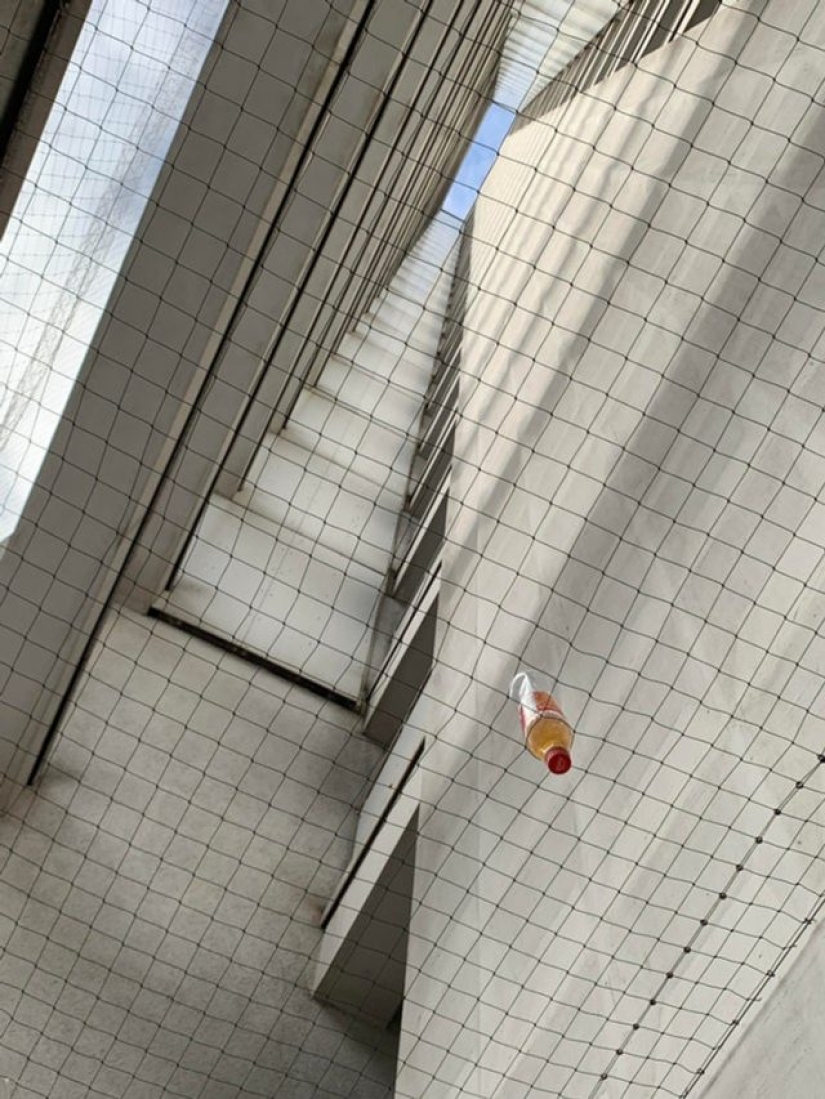 15 photos that can confuse even the most rational person