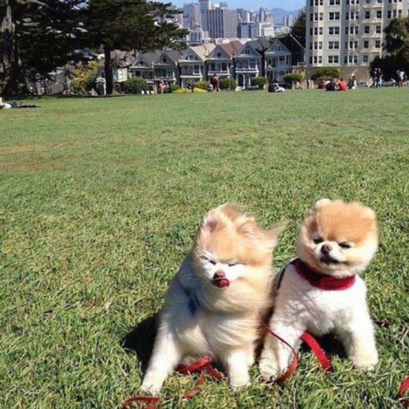 15 photos that prove the wind has a sense of humor