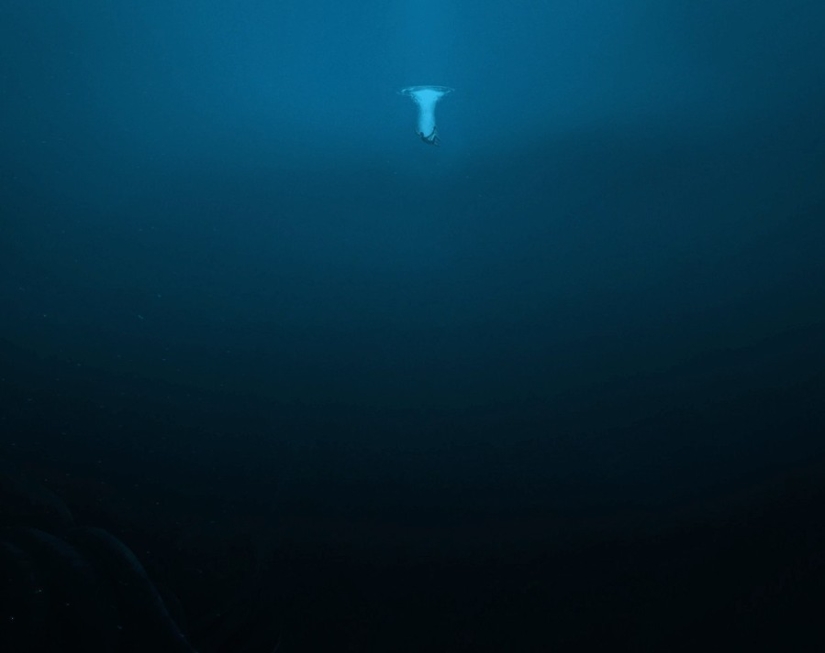 15 pictures, after viewing which you don't put your foot in the water
