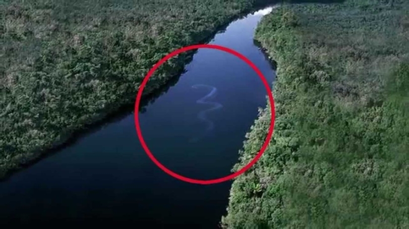 15 pictures, after viewing which you don't put your foot in the water