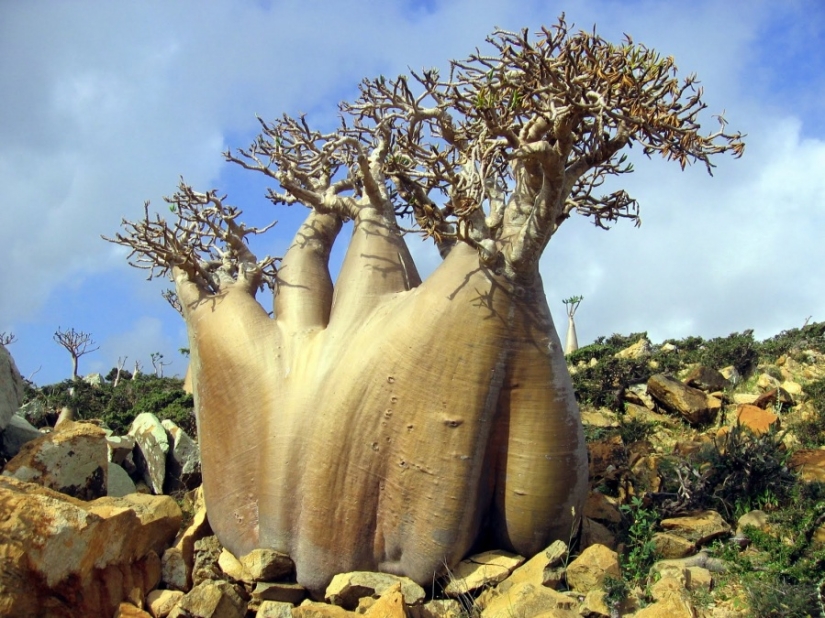 15 places on earth that seem like fantastic landscapes from other planets 15 places on earth that seem like fantastic landscapes from other planets