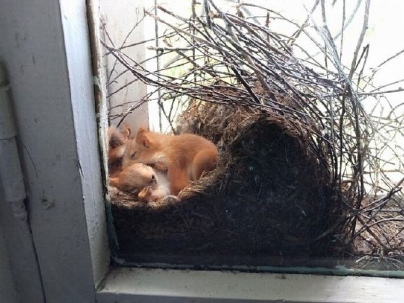 15 Times People Spotted Something Gorgeous In Nature And Had To Share It Online