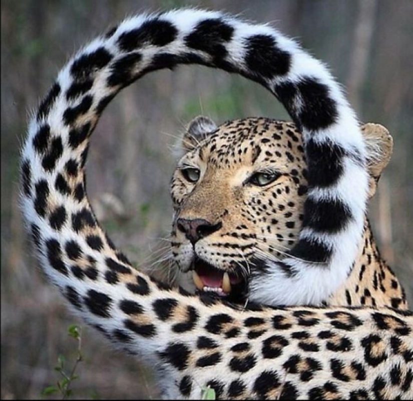15 Times People Spotted Something Gorgeous In Nature And Had To Share It Online