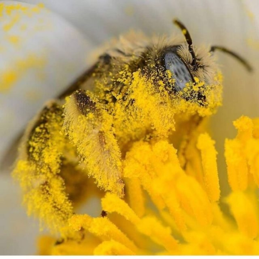 15 Times People Spotted Something Gorgeous In Nature And Had To Share It Online