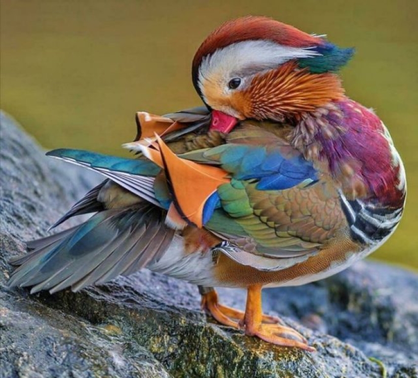 15 Times People Spotted Something Gorgeous In Nature And Had To Share It Online