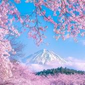 15 Times People Spotted Something Gorgeous In Nature And Had To Share It Online 15 Times People Spotted Something Gorgeous In Nature And Had To Share It Online