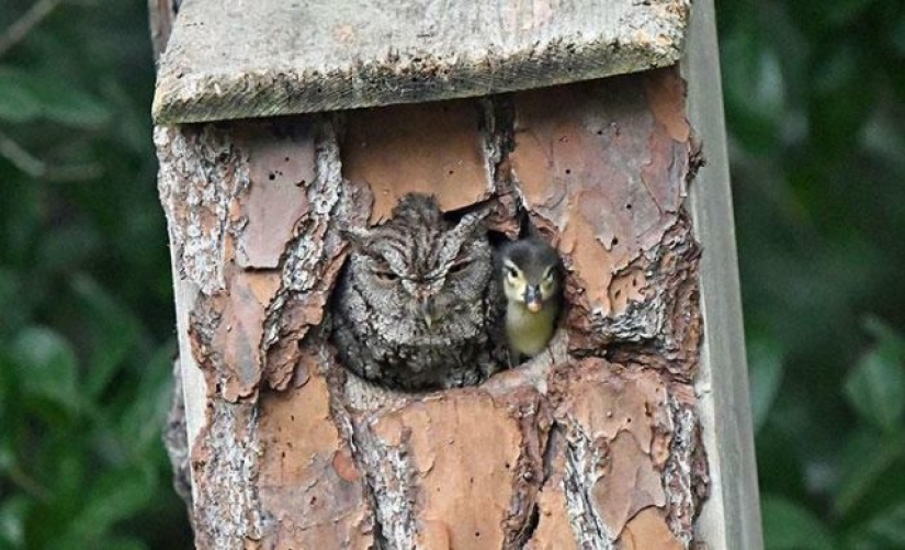 15 Times People Spotted Something Gorgeous In Nature And Had To Share It Online
