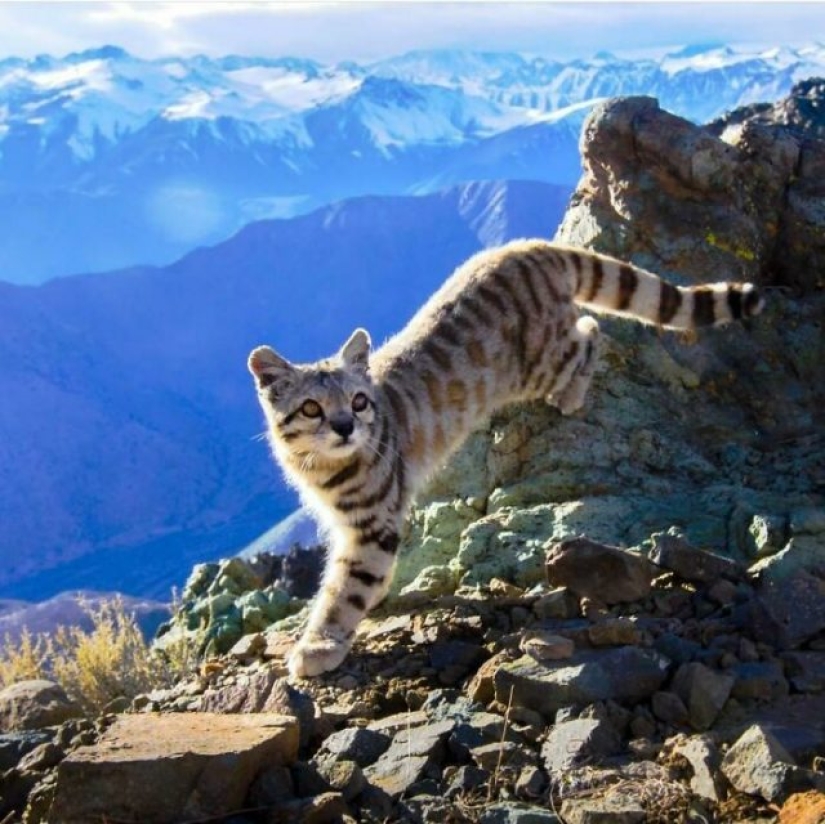 15 Times People Spotted Something Gorgeous In Nature And Had To Share It Online