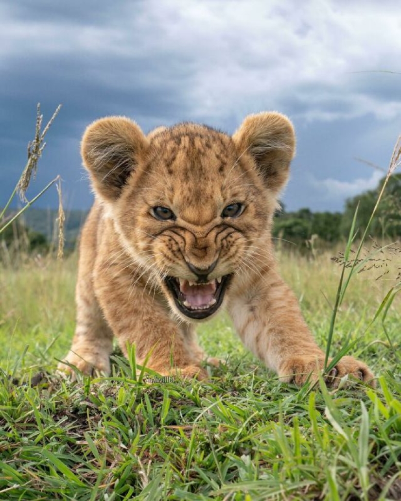 15 Times People Spotted Something Gorgeous In Nature And Had To Share It Online