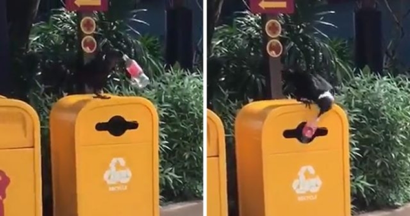 15 Times People Spotted Something Gorgeous In Nature And Had To Share It Online