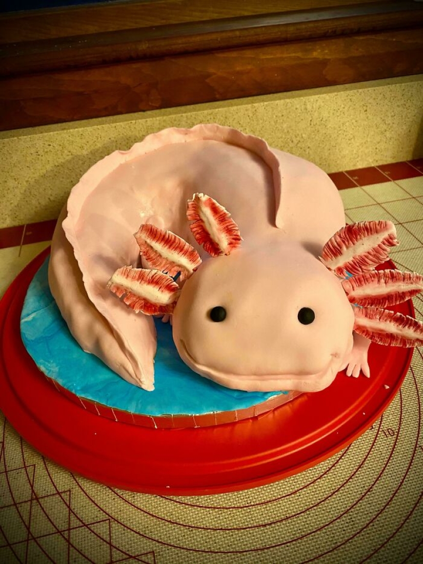 15 times people took baking to the next level