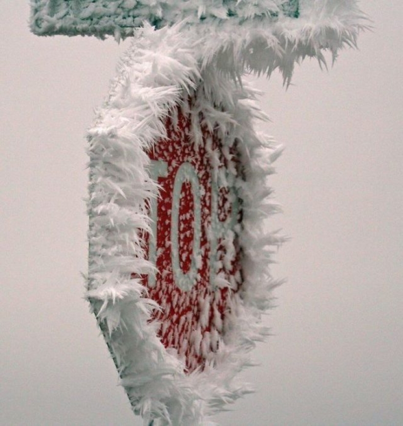 15 Times People Were So Satisfied Looking At The Snow They Just Had To Document It