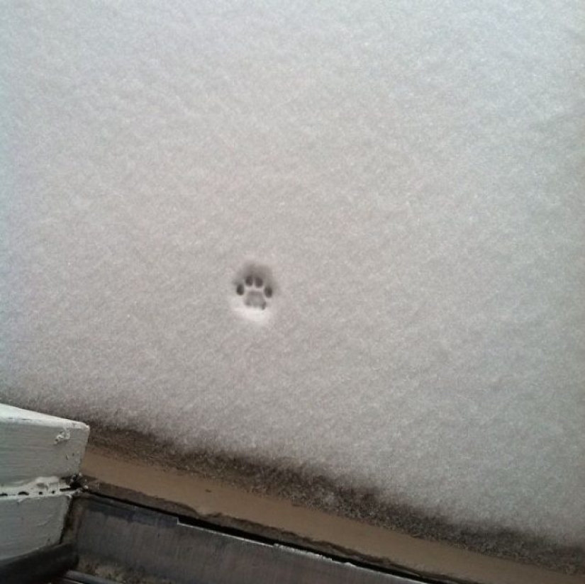 15 Times People Were So Satisfied Looking At The Snow They Just Had To Document It