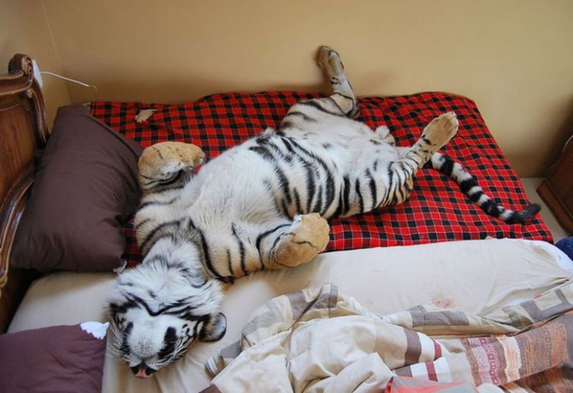 15 trucos para controlar tu cuerpo 15 trucos para controlar tu cuerpo