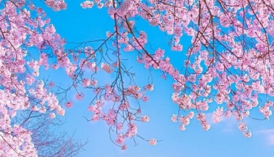 15 veces que la gente vio algo hermoso en la naturaleza y tuvo que compartirlo en línea 15 veces que la gente vio algo hermoso en la naturaleza y tuvo que compartirlo en línea