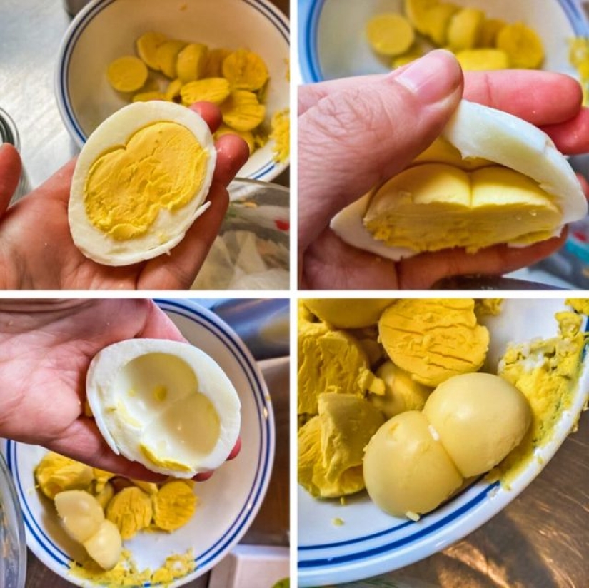 16 Common Things We've Never Seen Before